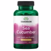 Sea Cucumber 500 mg - 100 kaps - Swanson